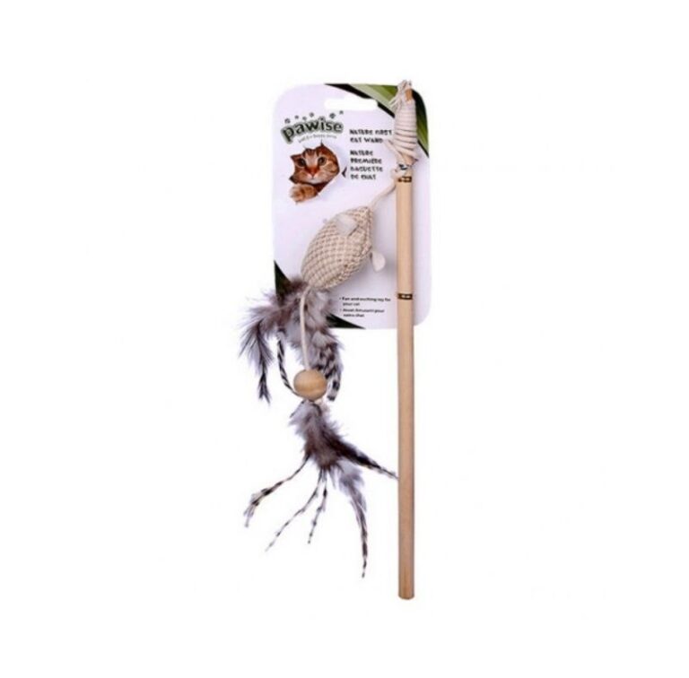 cat wand